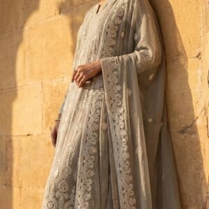 Lucknowi Handwork Boutique Dress