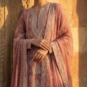 Lucknowi Boutique Dress