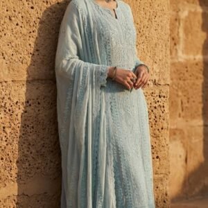 Pure Lucknowi Handwork Dress