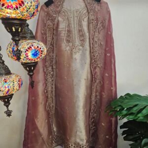 Pure Banarasi Tissue Silk Dress