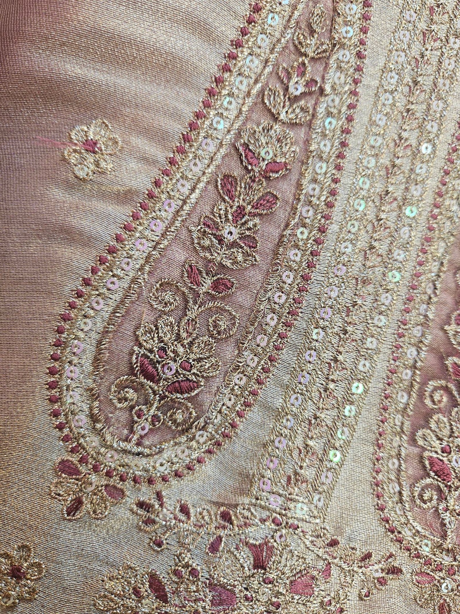 Pure Banarasi Tissue Silk Dress - Image 3