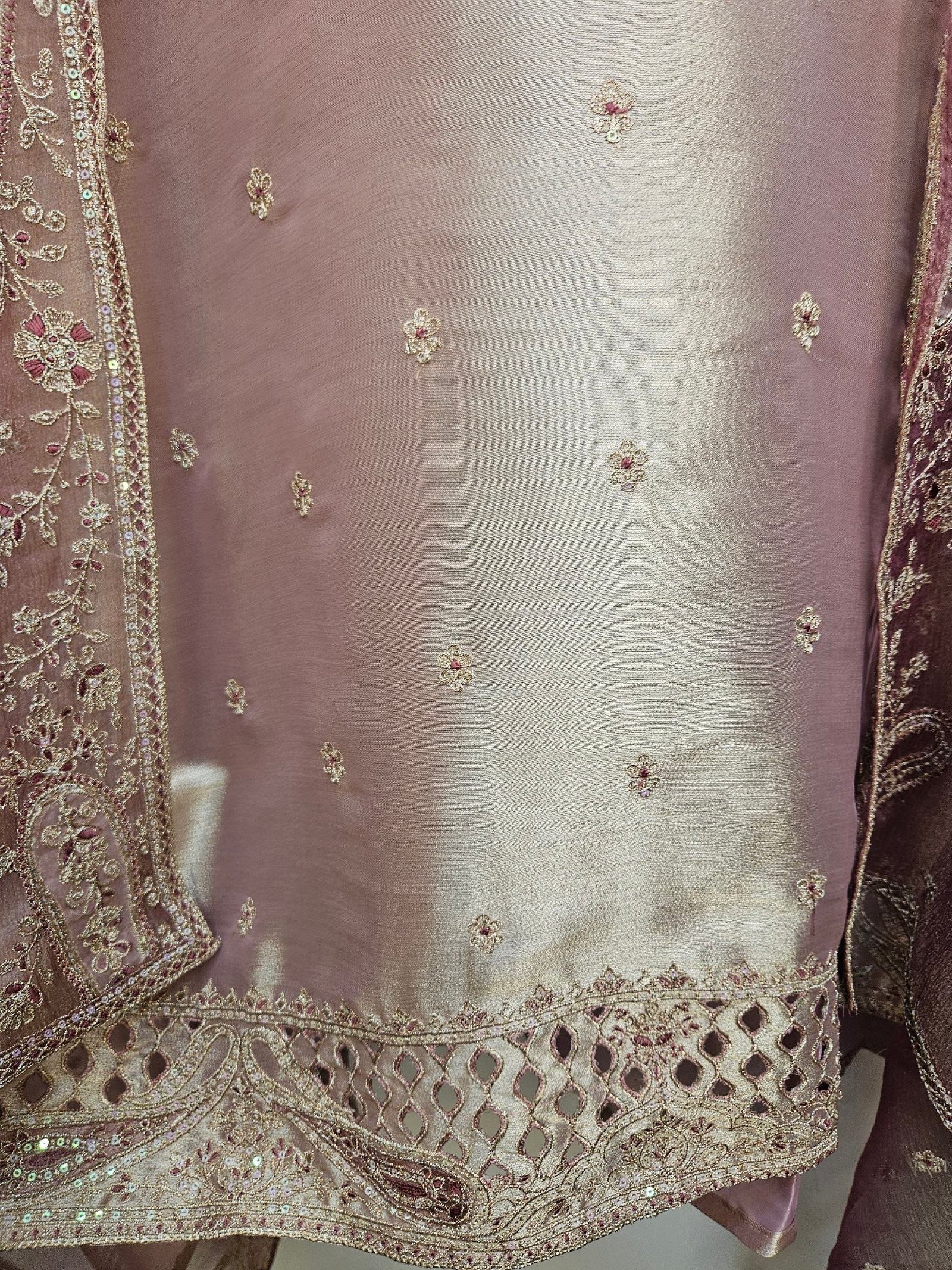 Pure Banarasi Tissue Silk Dress - Image 4