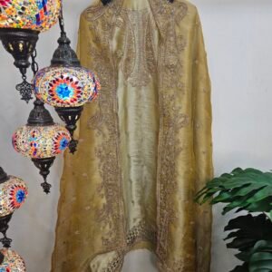 Pure Banarasi Tissue Simar Silk Dress