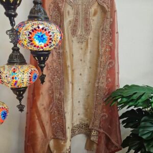 Pure Banarasi Tissue Simar Silk Dress