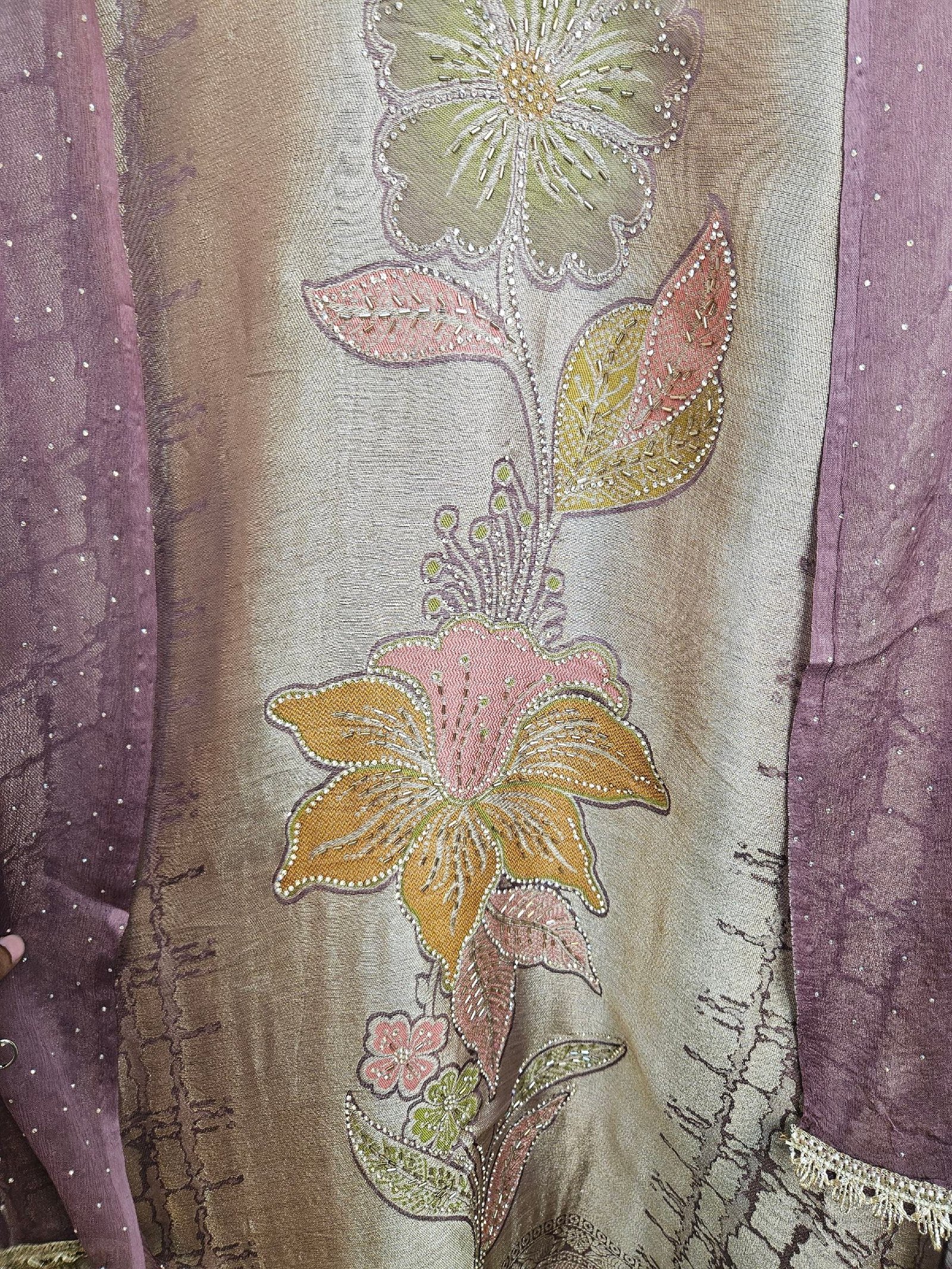 Pure Banarasi Tissue Silk Boutique Dress - Image 3