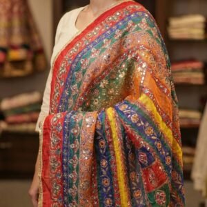 Multicolor Chinon Silk Dupatta with Mirror & Aari Work