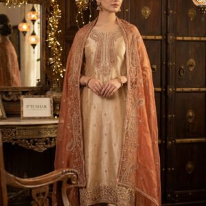 Pure Banarasi Tissue Simar Silk Dress