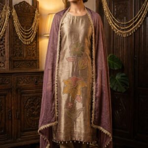 Pure Banarasi Tissue Silk Boutique Dress