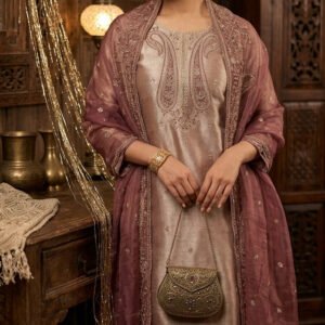 Pure Banarasi Tissue Silk Dress