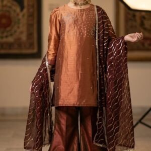 ​Kids’ Silk Farshi Salwar Suit with Handwork