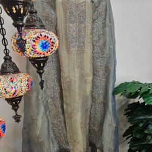 Pure Simar Tissue Silk Boutique Dress