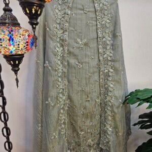 Pure Crush Tissue Simar Handwork Boutique Dress