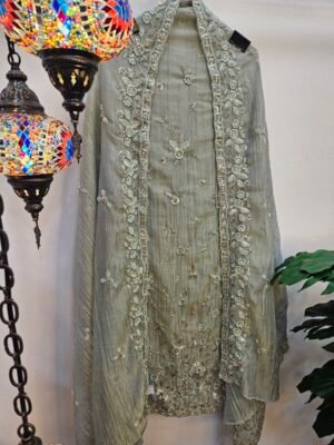 Pure Crush Tissue Simar Handwork Boutique Dress