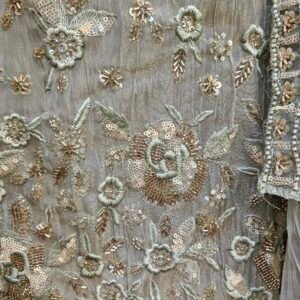 Pure Crush Tissue Simar Handwork Boutique Dress