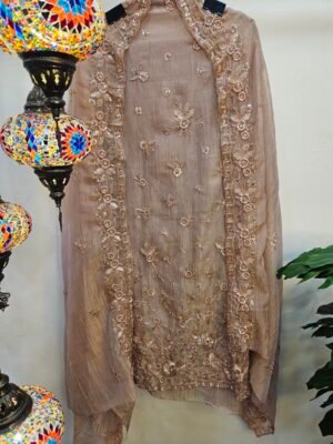 Pure Crush Tissue Simar Handwork Boutique Dress