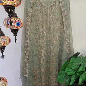 Pure Crush Tissue Simar With Full Handwork Boutique Dress