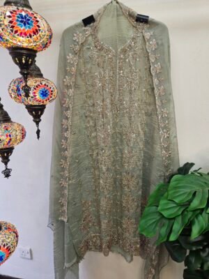 Pure Crush Tissue Simar With Full Handwork Boutique Dress