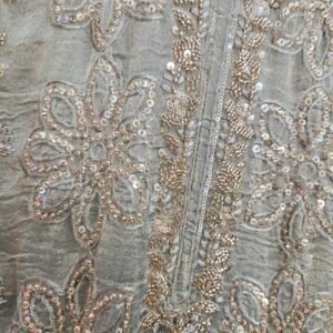 Pure Crush Tissue Simar With Full Handwork Boutique Dress