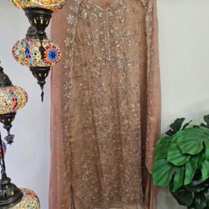 Pure Crush Tissue Simar With Full Handwork Boutique Dress