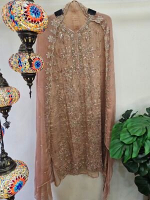 Pure Crush Tissue Simar With Full Handwork Boutique Dress