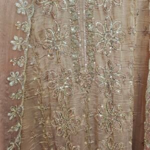 Pure Crush Tissue Simar With Full Handwork Boutique Dress