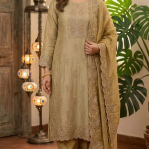 Pure Simar Tissue Silk Boutique Dress