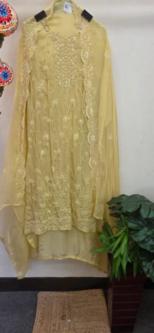 Designer Boutique Handwork Dress